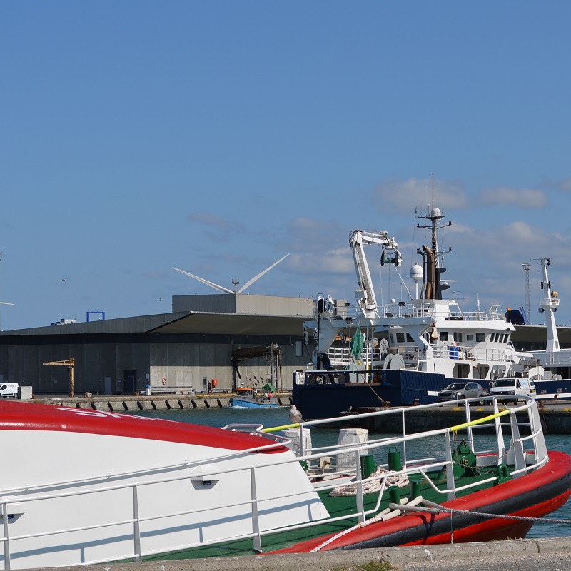 Havnen